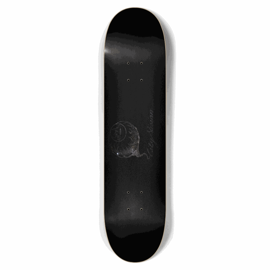 Black and Stars Logo 7.75 City Vision Skateboards