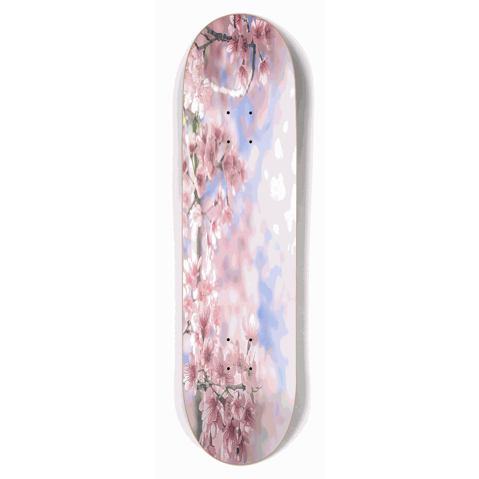 Cherry Blossom 8.50 City Vision Skateboards