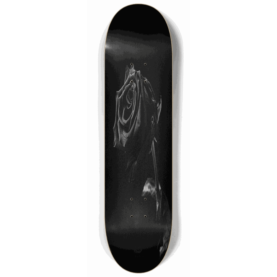 Withered Rose 8.25 City Vision Skateboards