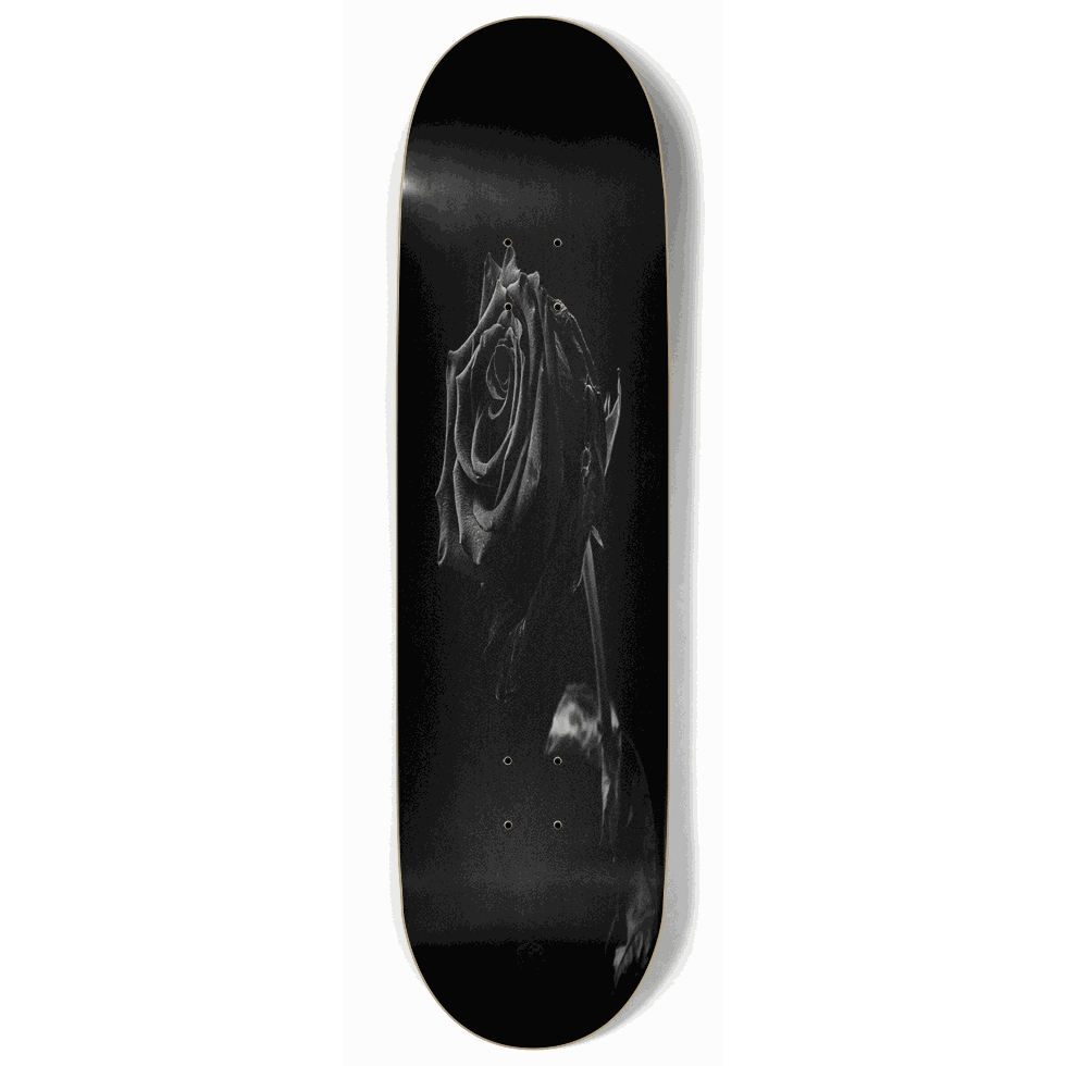 Withered Rose 9.00 City Vision Skateboards
