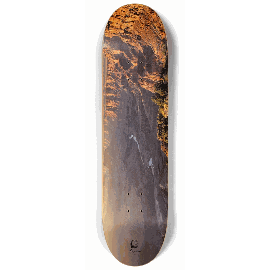 Grand Canyon 8.25 City Vision Skateboards