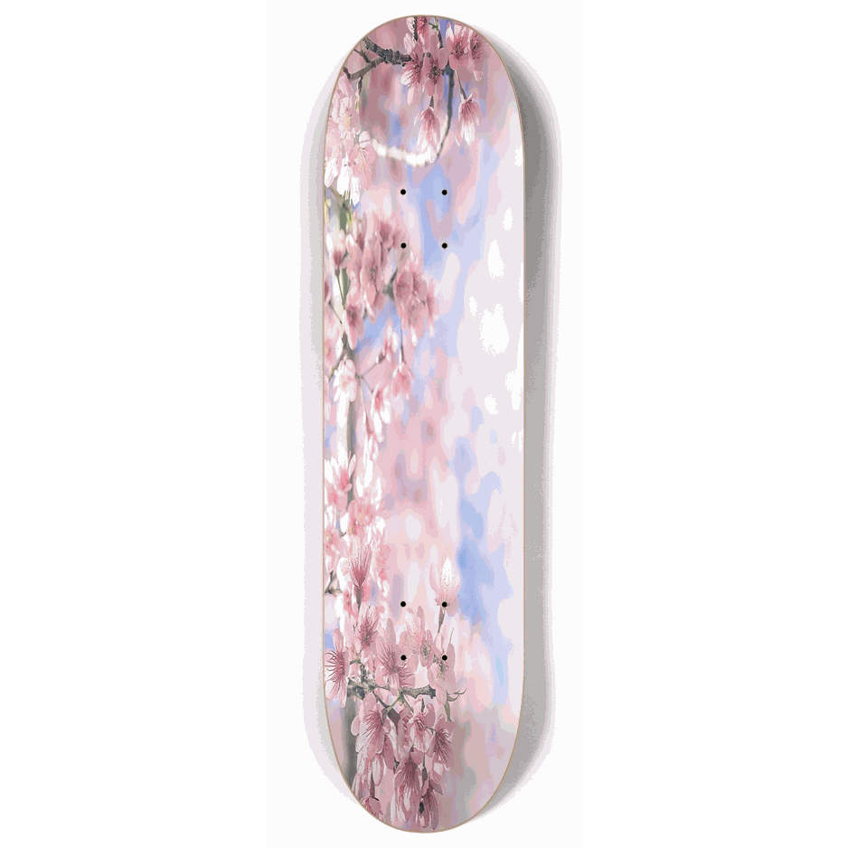 Skateboard - Cherry Blossom 8.00 by City Vision Skateboards (8.00)