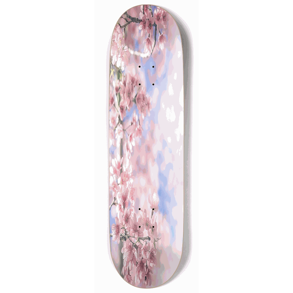 Cherry Blossom 9.00 City Vision Skateboards