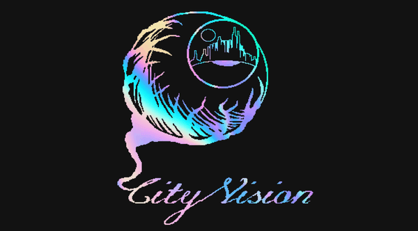 cityvisionskateboards.com City Vision Skateboards