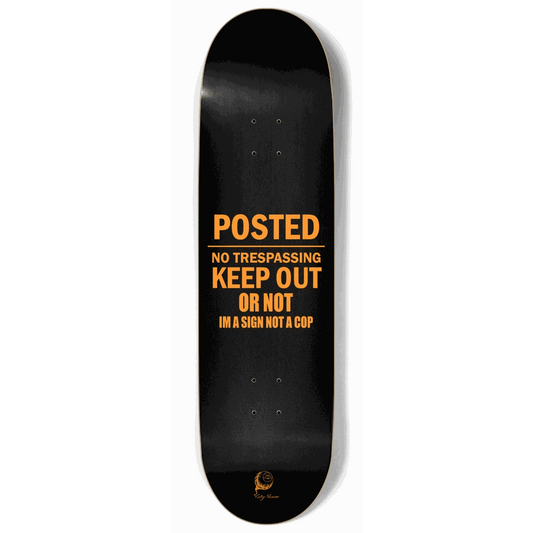 Keep Out 9.00 City Vision Skateboards