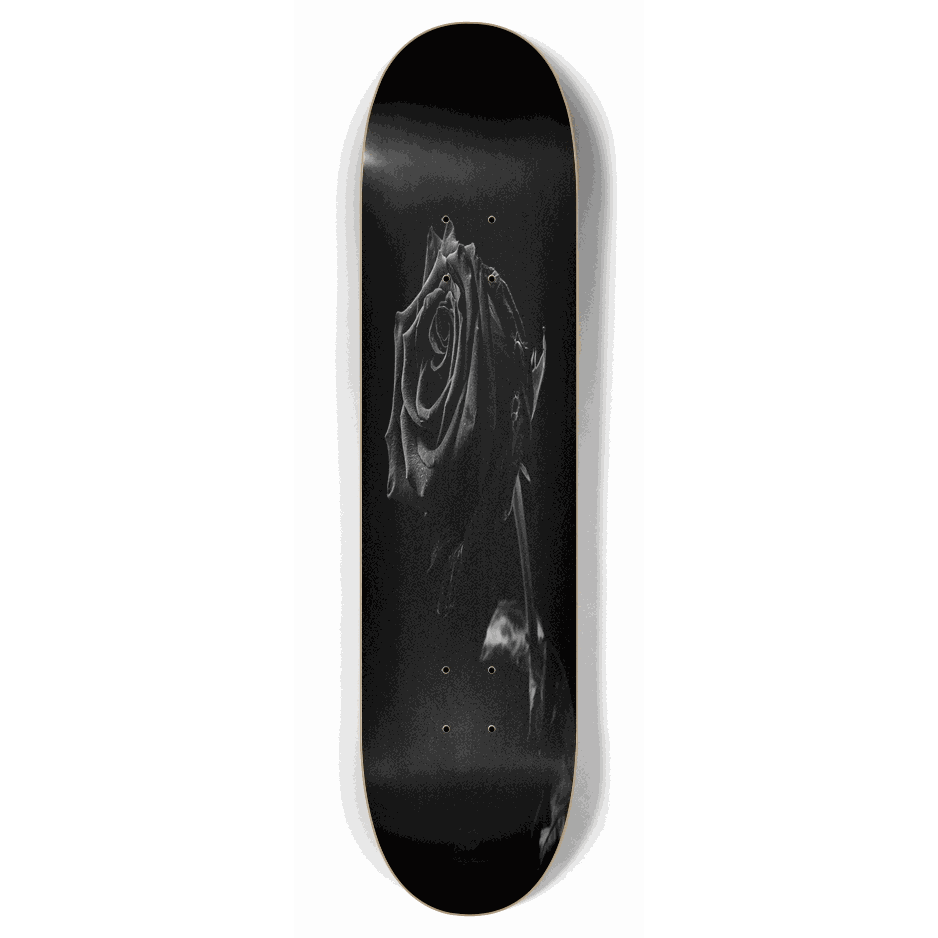 Withered Rose 7.87 City Vision Skateboards