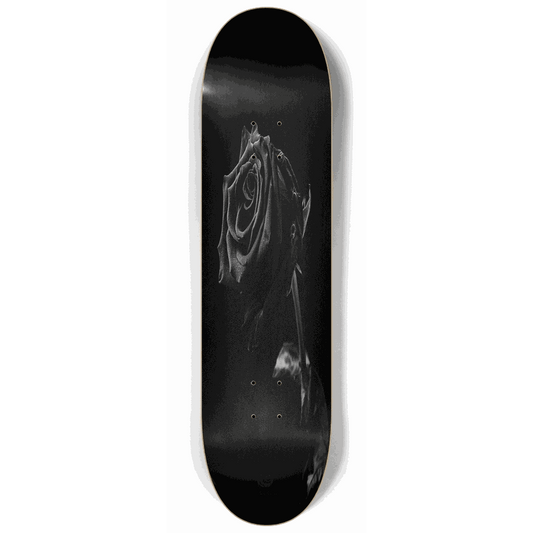 Withered Rose 8.25 City Vision Skateboards