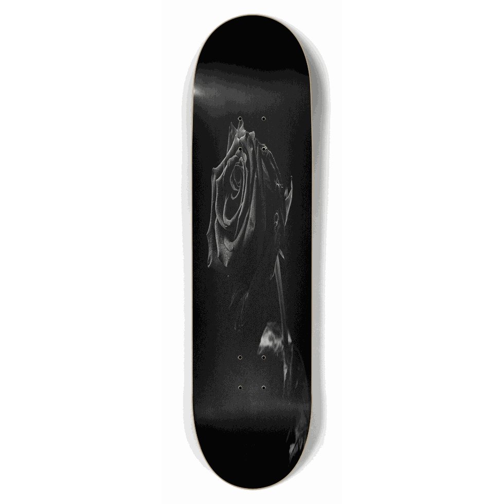 Withered Rose 8.50 City Vision Skateboards